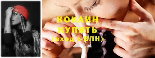 СК Алзамай