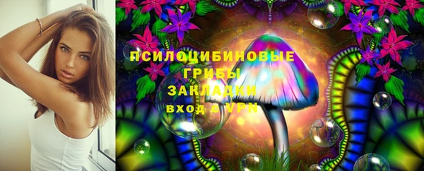 крисы Алексин