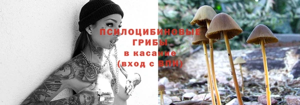 СК Алзамай