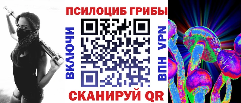Галлюциногенные грибы Psilocybe  Южно-Сухокумск 